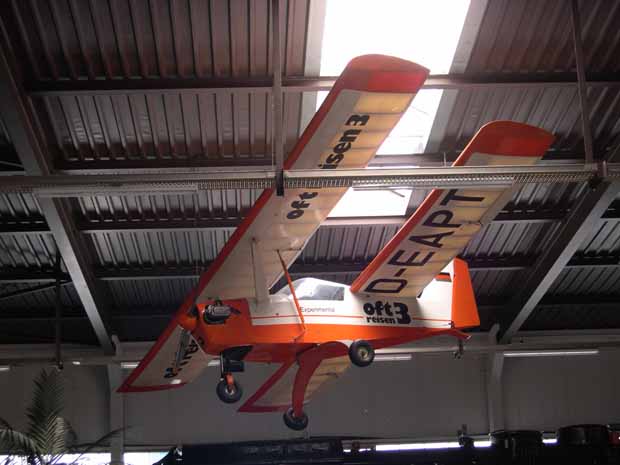 Der Moderne Himmelsfloh