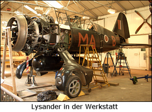 lysander_1_f.jpg